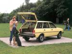 Peugeot 305 Break 1982 года (WW)